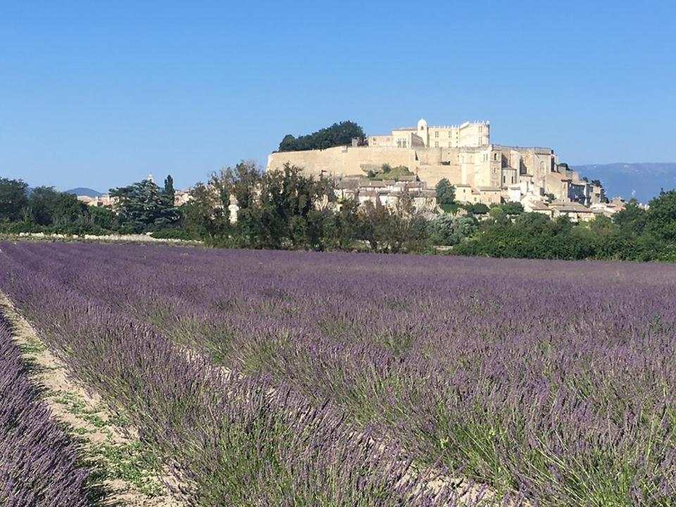 Le Mas Du Pigeonnier Réauville 외부 사진